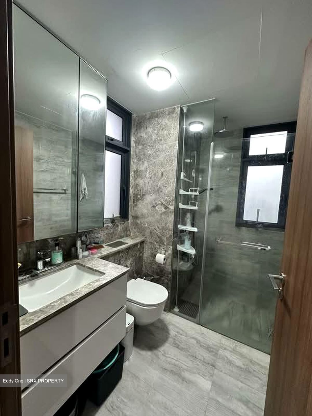 Fourth Avenue Residences (D10), Apartment #572967071